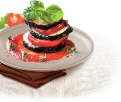 Tefal Success Ovenware Ovenschotel - 20 X 26 Cm 18 Tefal Success Ovenware Ovenschotel - 20 X 26 Cm -Keuken BBQ 1200x1014 2