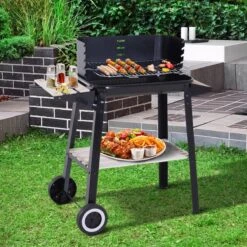 Verrijdbare Barbecue – Houtskool/Briketten - Verstelbare Grillplaat – Houten Tafel – Winscherm – Gewicht 5.9kg -Keuken BBQ 1200x1200 10