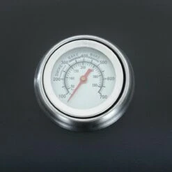 Vaggan Luxe Houtskool Barbecue - Grilloppervlak (LxB) 44 X 32 Cm - Staal - Matzwart -Keuken BBQ 1200x1200 168